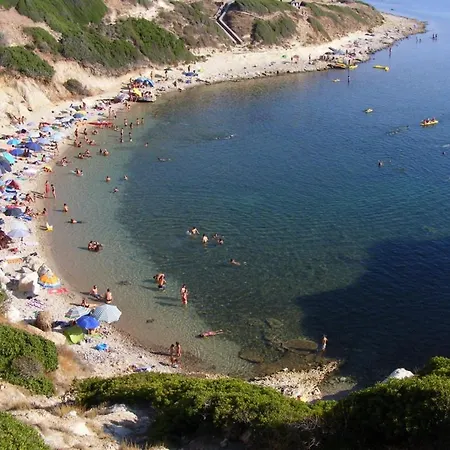 Papaveri *