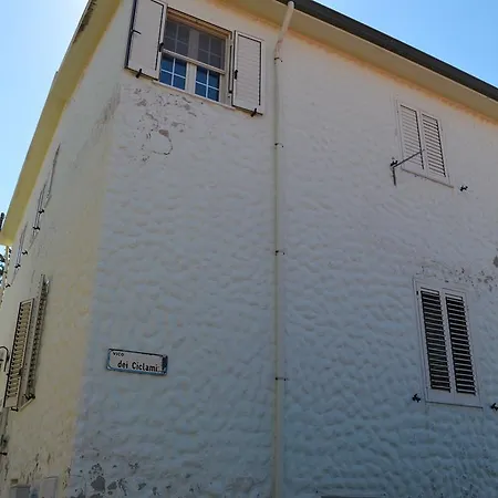 Apartmán Papaveri *