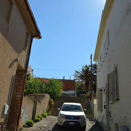 Papaveri