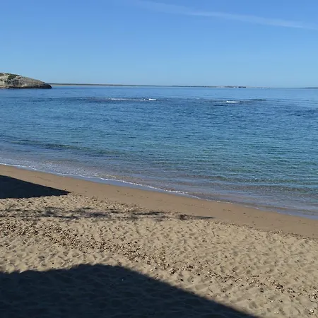 Papaveri